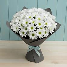 Букет цветов из:  Хризантемы #REPLACE_PRED# Натухаевской